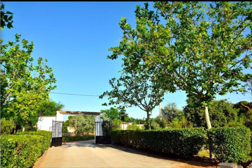 Сasa de vacaciones Casa Rural Entre Almendros El Toboso