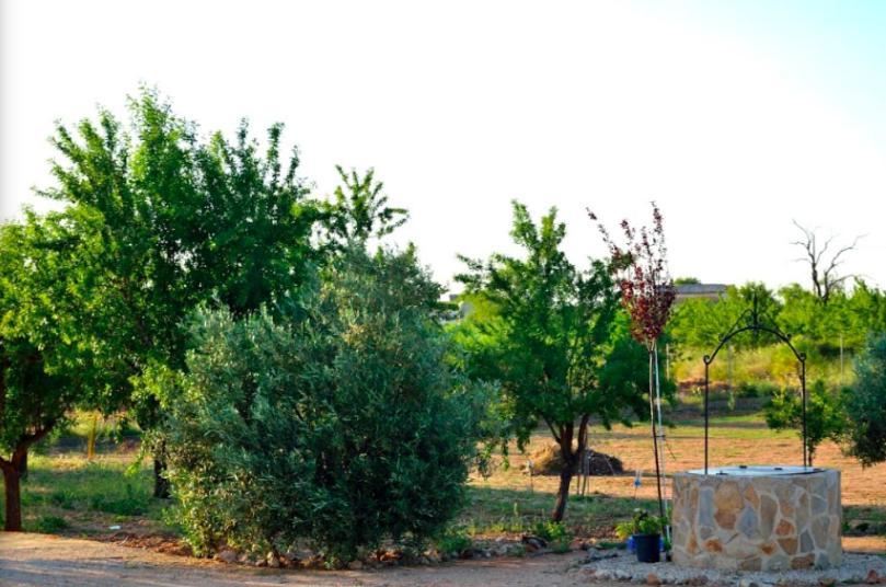 Casa Rural Entre Almendros Сasa de vacaciones El Toboso