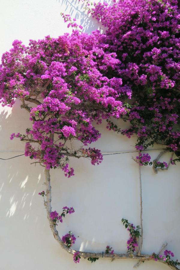 Rocas - Casa Diaz * Rosas