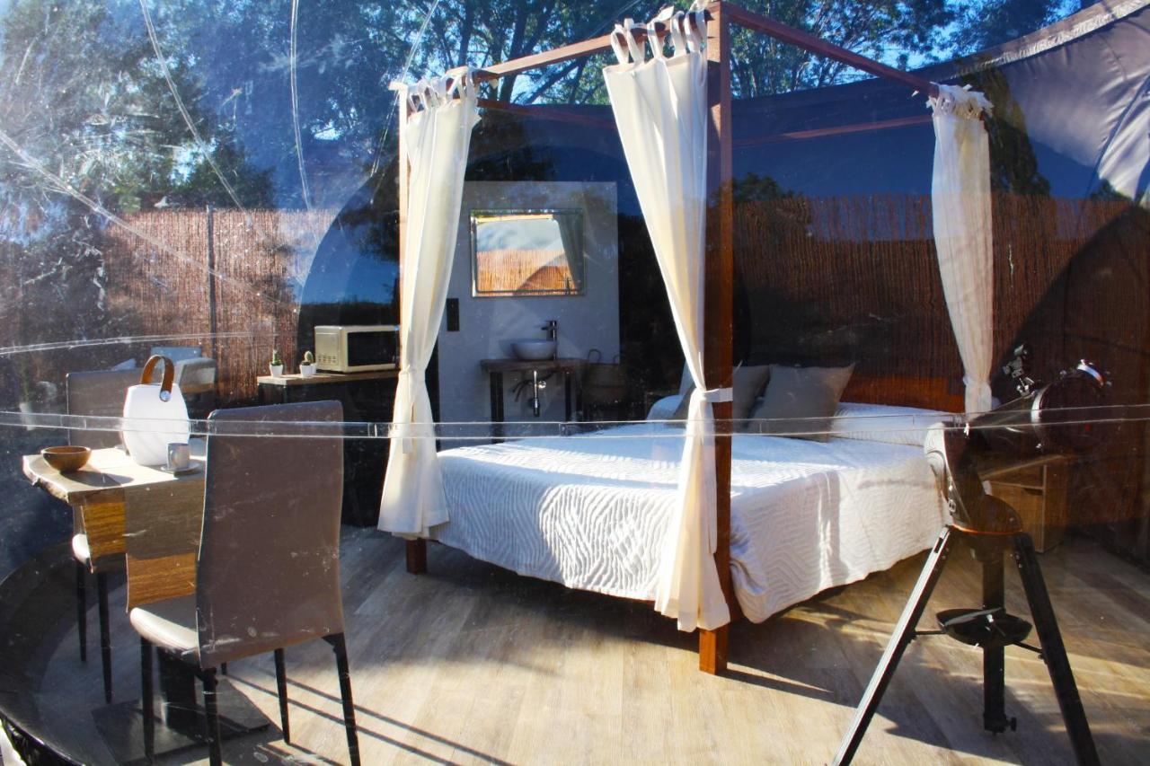 Camping Gredos Estelar
