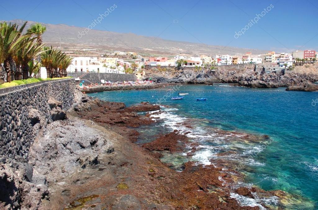 Tenerife - Aloe & Cactus