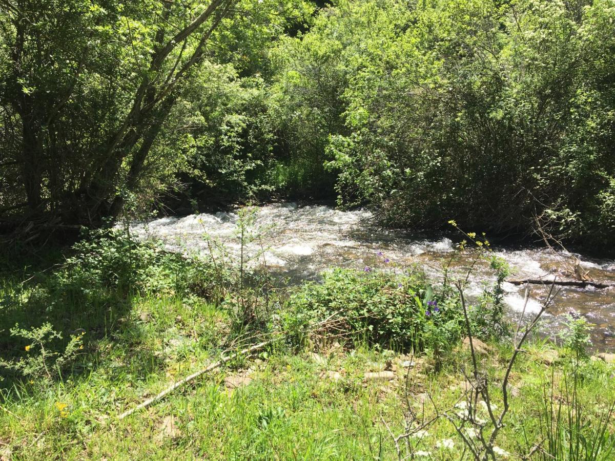 El Molino De * Bretun