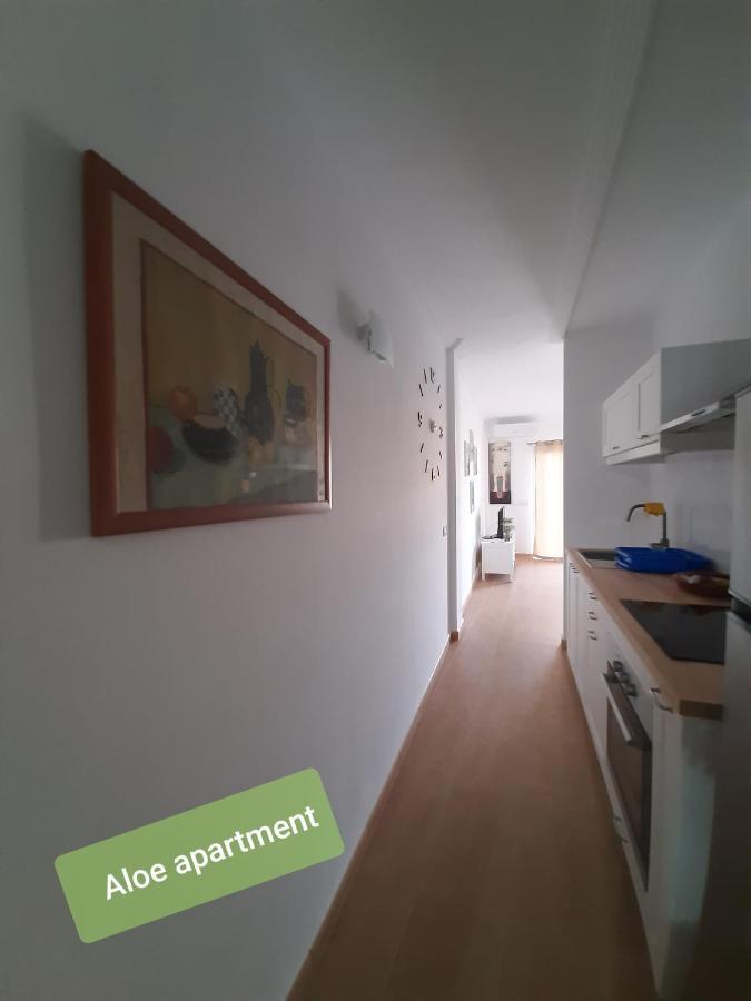 Apartment Tenerife - Aloe & Cactus