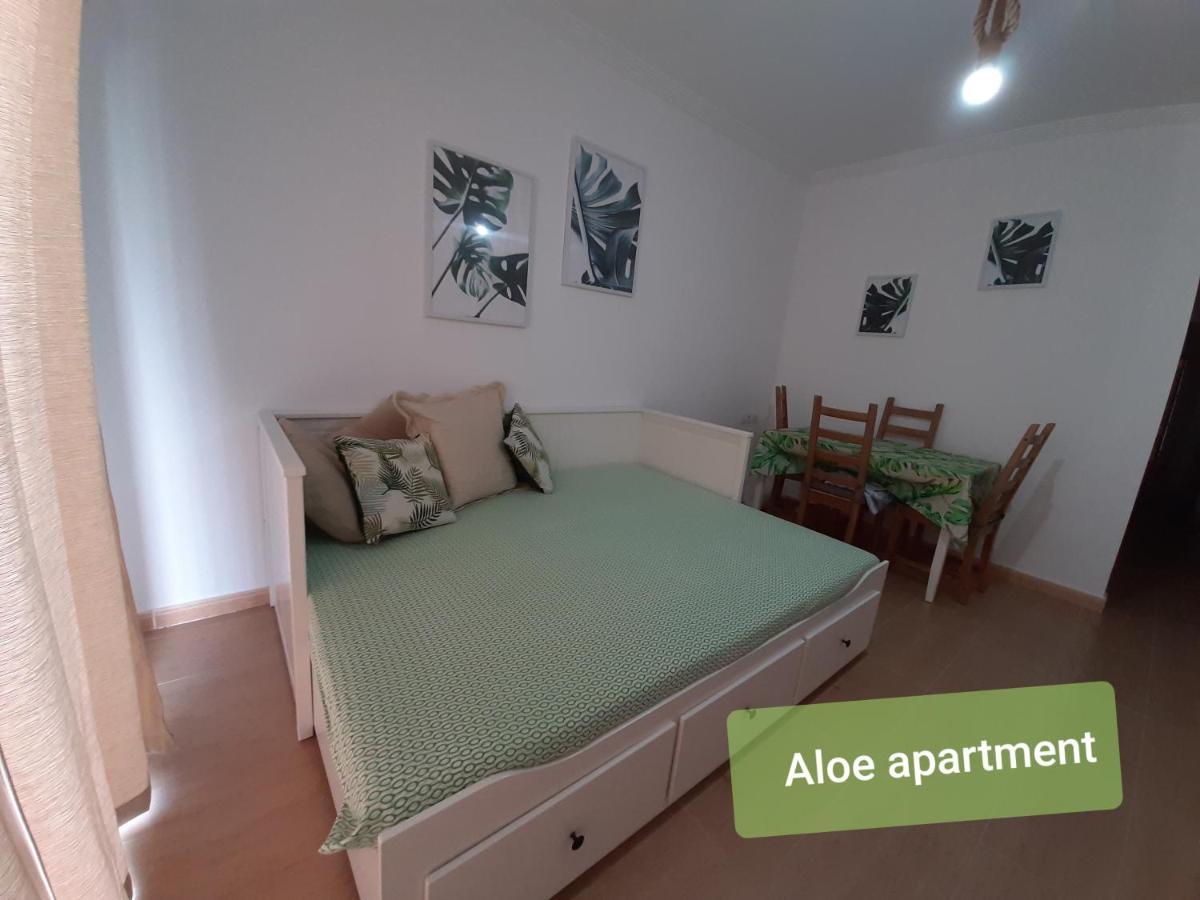 Apartment Tenerife - Aloe & Cactus Alcala (Tenerife)
