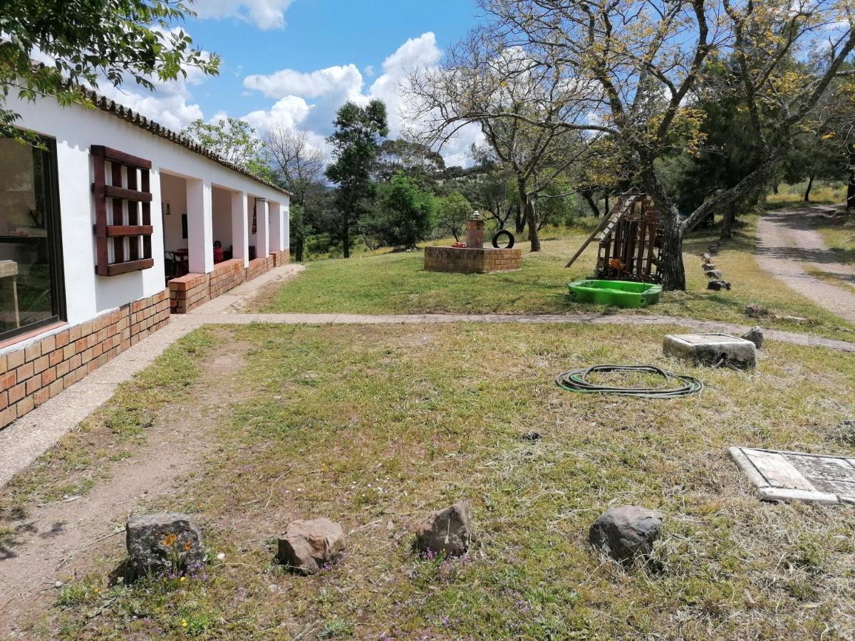 Holiday home Cortijo El Alamo