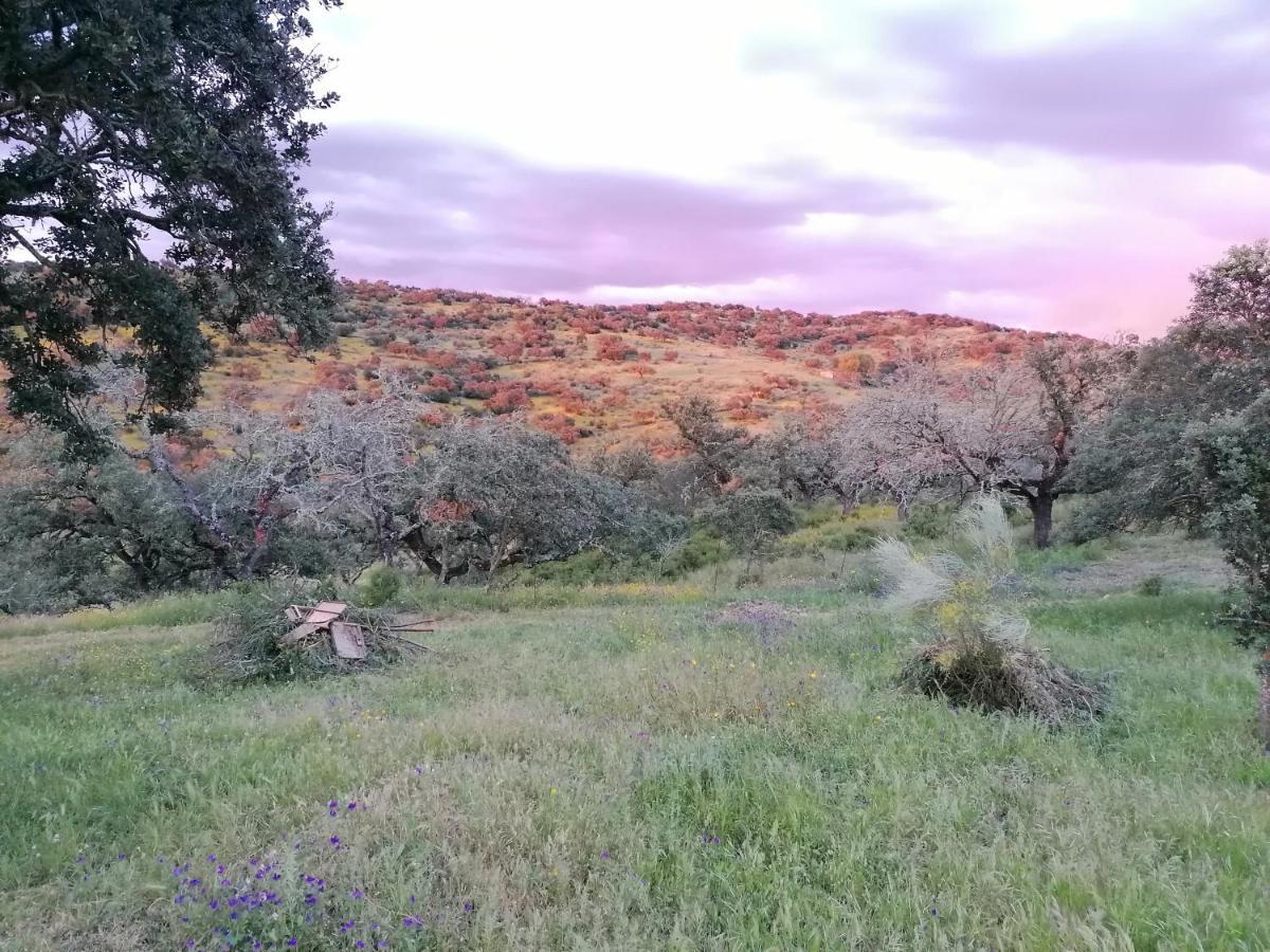 Cortijo El Alamo * Cumbres de San Bartolome