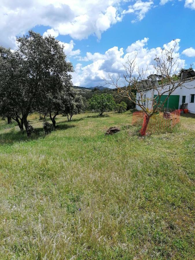 Holiday home Cortijo El Alamo *