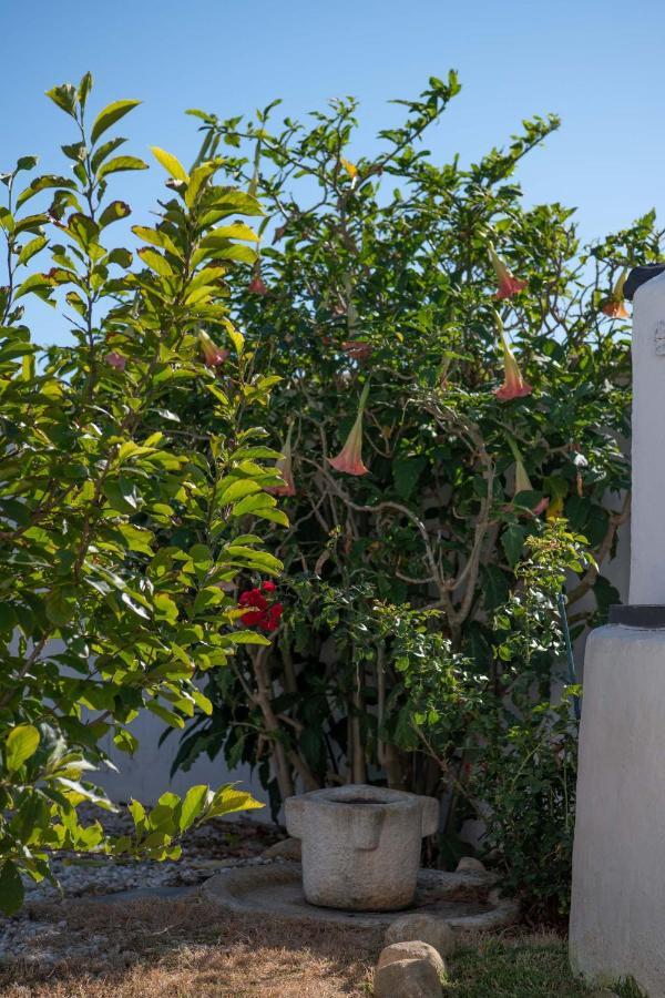 Apartamento Años Locos - Levante Y Poniente *