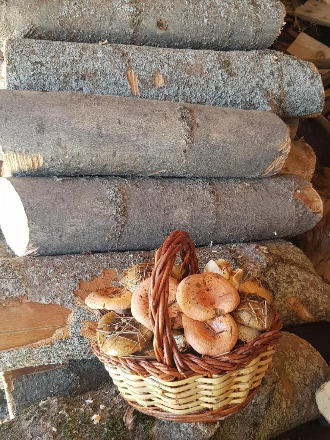 Casa rural Cal Gerard -