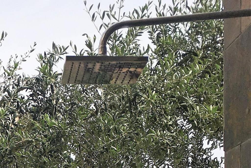 Apartamento Chill Out Ground Floor Apartm +private Garden+wifi *