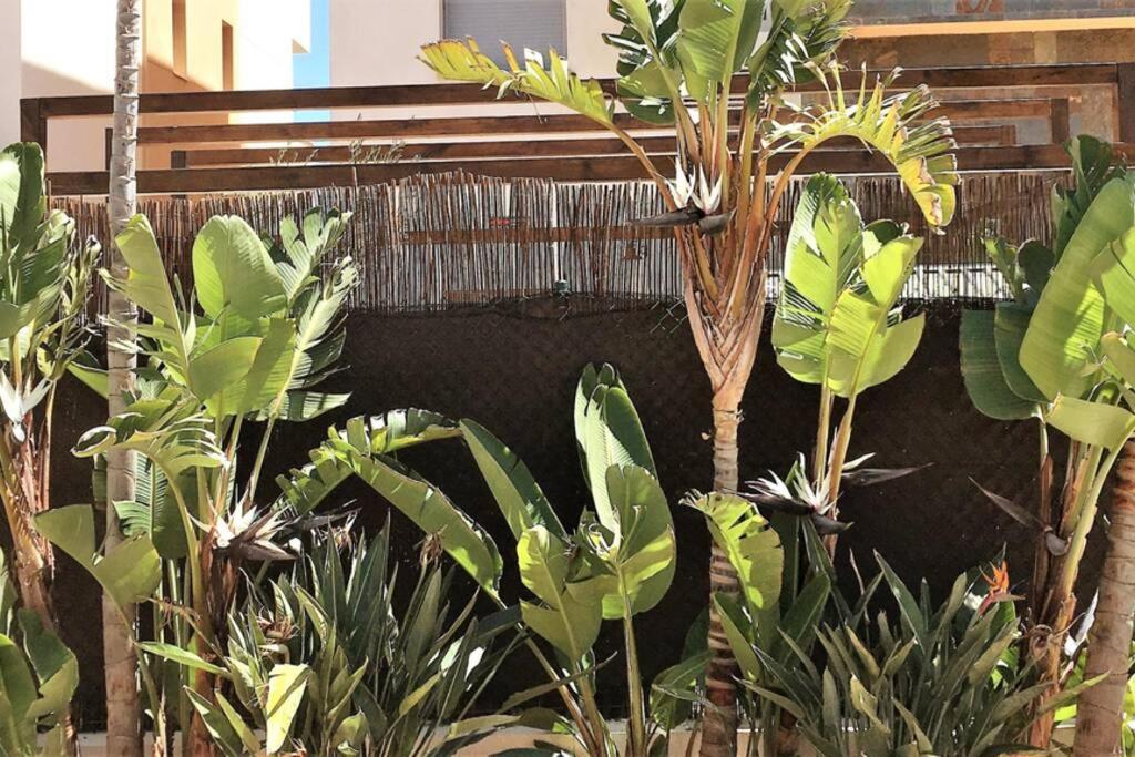 Chill Out Ground Floor Apartm +private Garden+wifi Apartamento Retamar (Almeria)