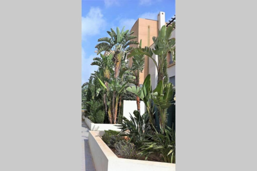 Chill Out Ground Floor Apartm +private Garden+wifi Retamar (Almeria)