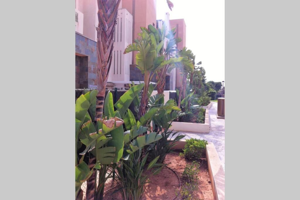 Chill Out Ground Floor Apartm +private Garden+wifi