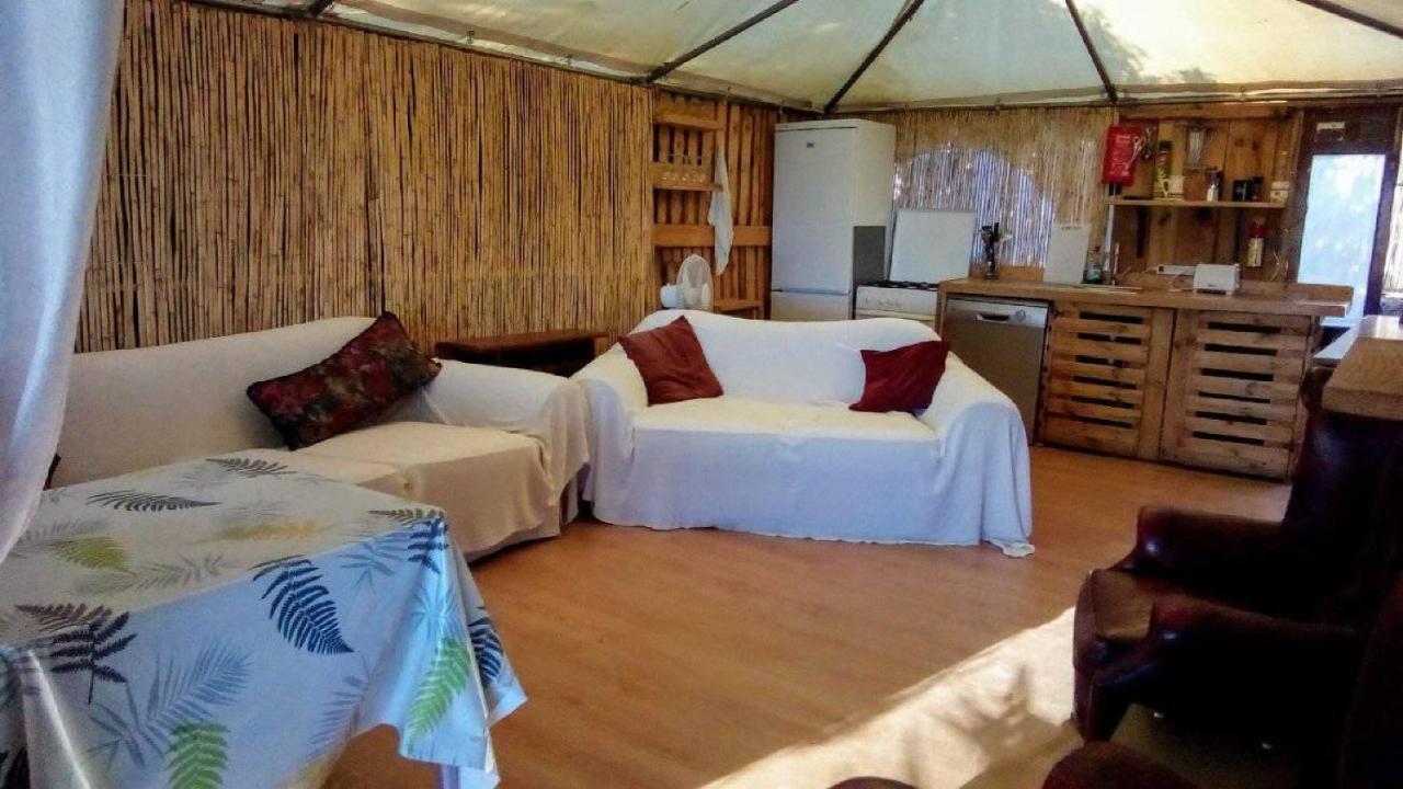 Treehouse ,casa Arbol, With Algarrobo