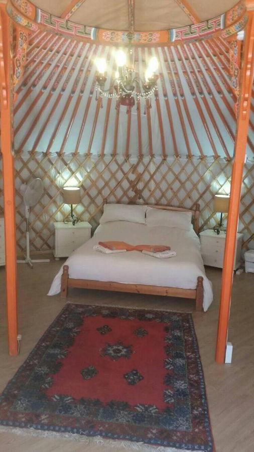 Eldorado Yurt