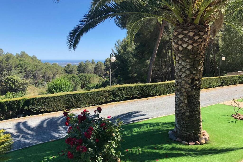 Casa Picarany Villa *