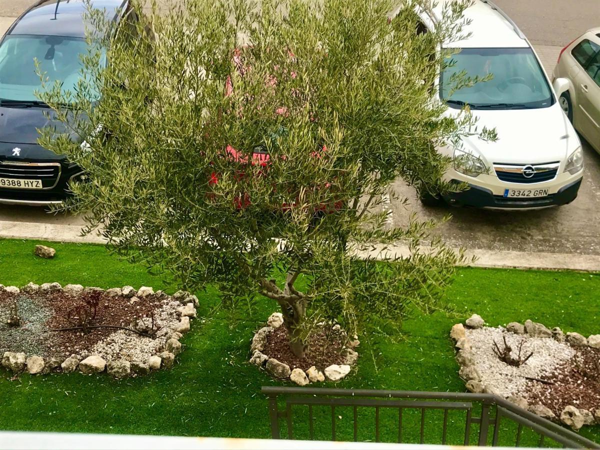 Apartamento El De Andrea Vut-47-249 Tordesillas