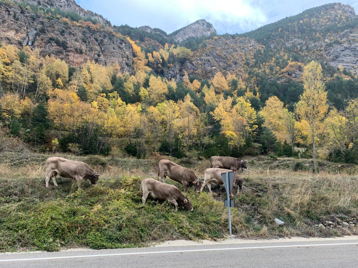 Chalet En El Pirineo De Aragon *