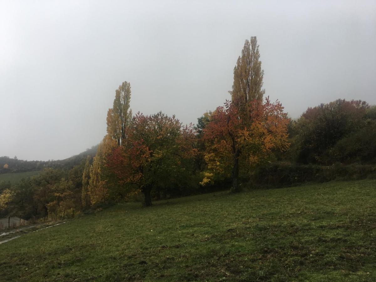 En El Pirineo De Aragon *