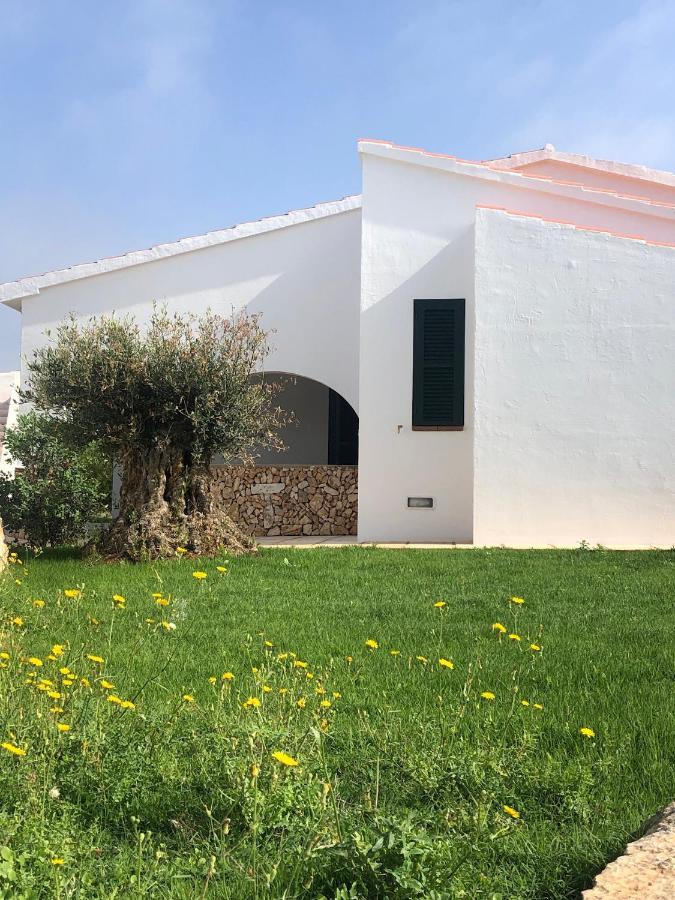 Binibridge Villa