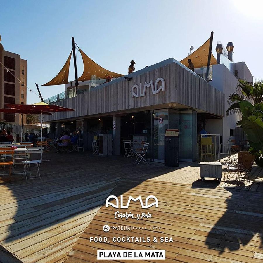 Experience Playa Los Locos Apartment Torrevieja