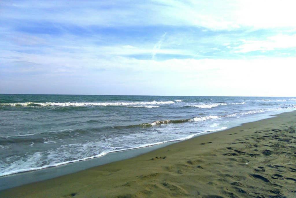 Apartamento Playa Eucaliptus En Parque Natural Delta Del Ebro Apartment