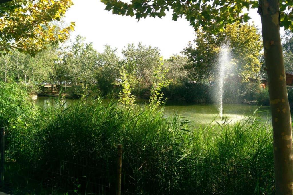 Apartamento Playa Eucaliptus En Parque Natural Delta Del Ebro * L'Eucaliptus