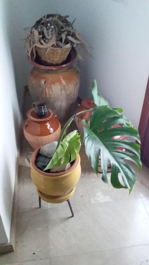 Loft Castelló *