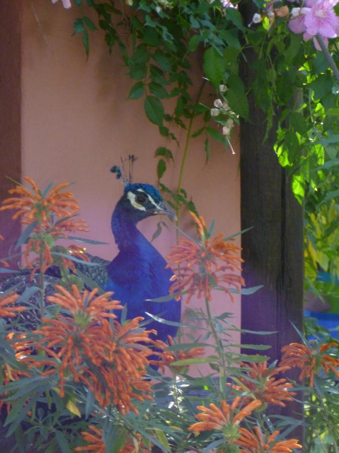 Eco Moyano Lodge