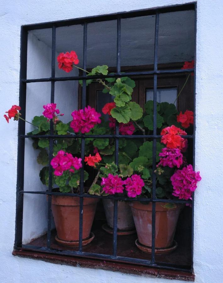 Casa rural En *