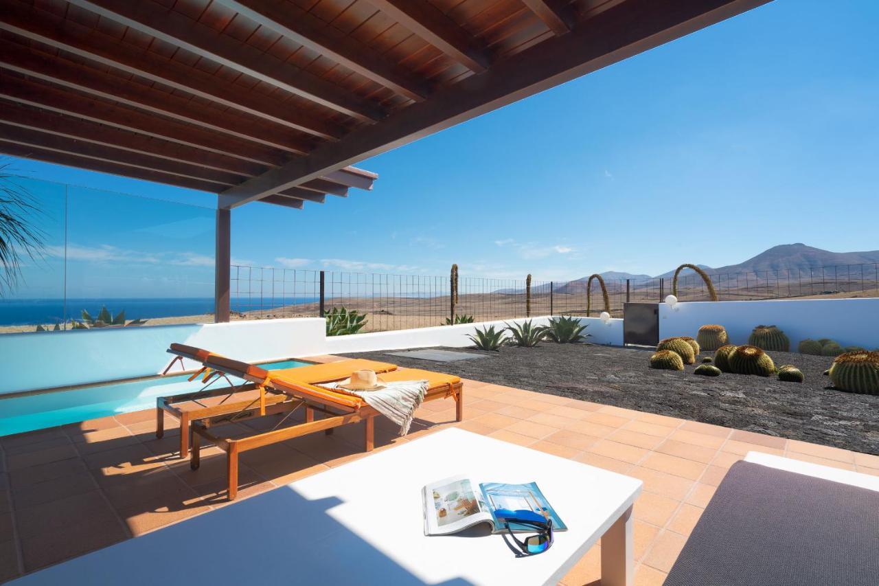 Agave // Cardón Villa Puerto Calero