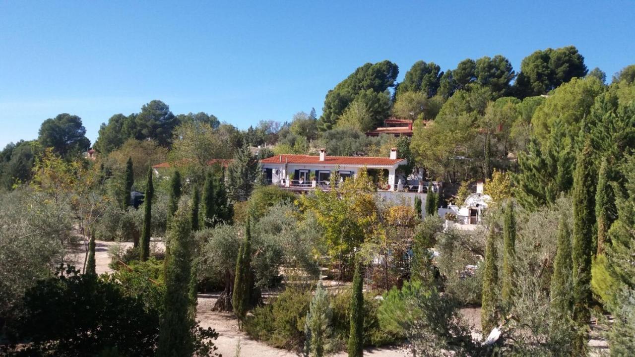 Mofletes - Adults Only Bed & Breakfast Chinchon