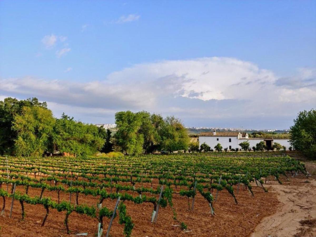 Buytrón Casa rural *