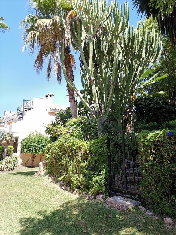 Entre Marbella Y Apartamento Estepona