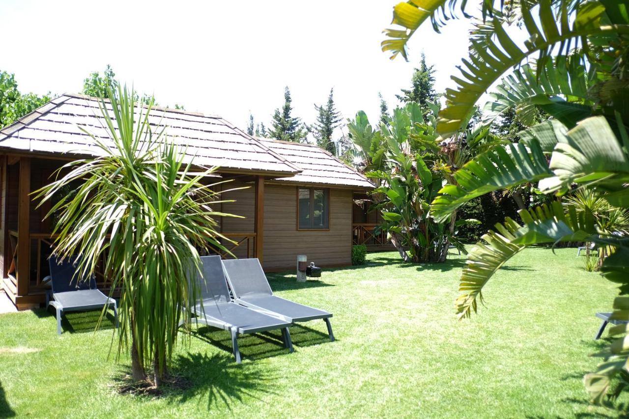 Playa Montroig Campsite