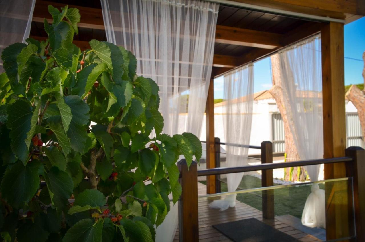 Casa Pinar Del Eden Sur Apartment Chiclana de la Frontera