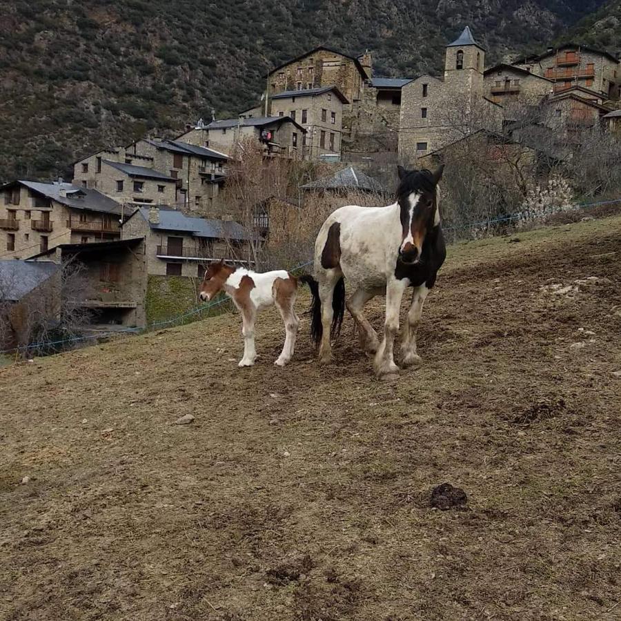Cal Gerard - Casa rural Arcavell