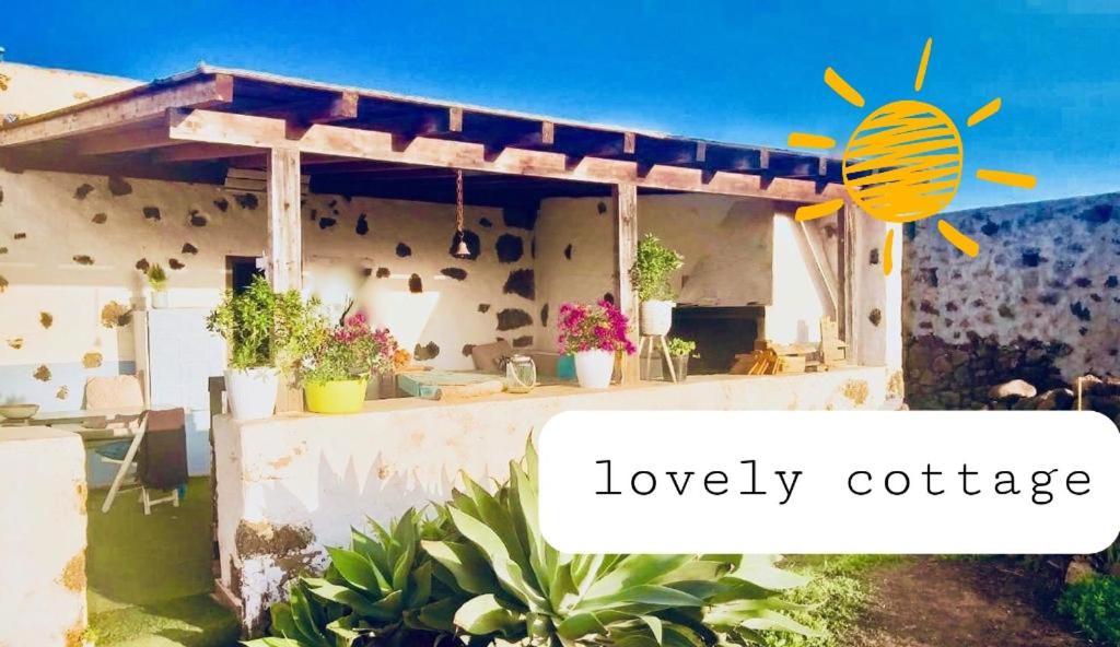 Sunny Apartment La Oliva