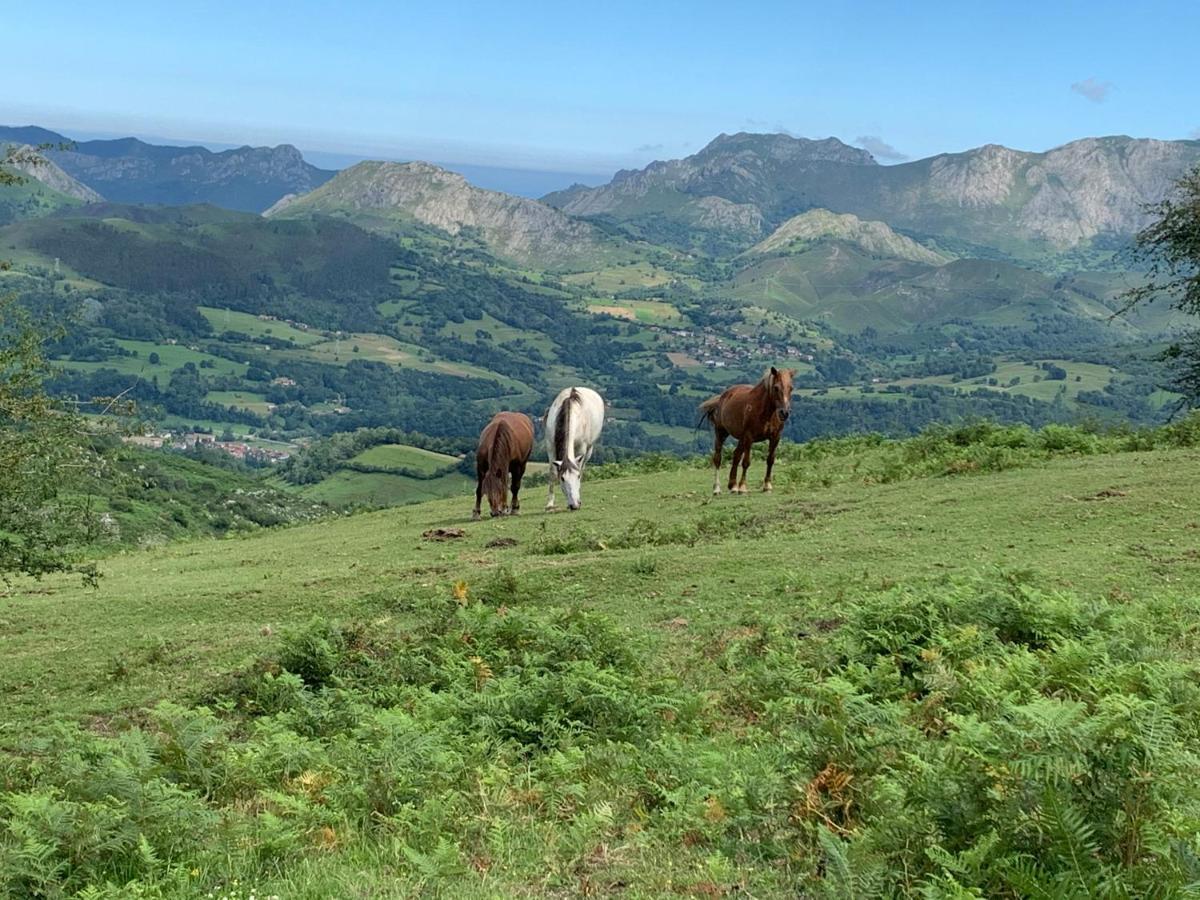 Corazón Cangues Onís