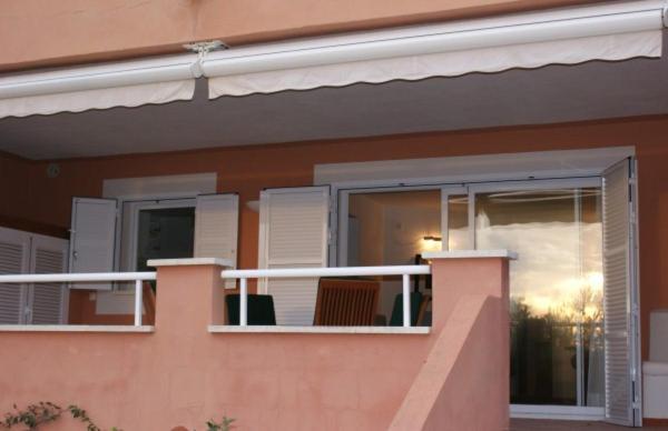 Buganvillea
