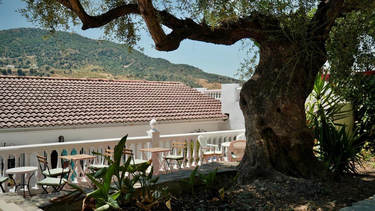 One Life Malaga Retreat Guest house *