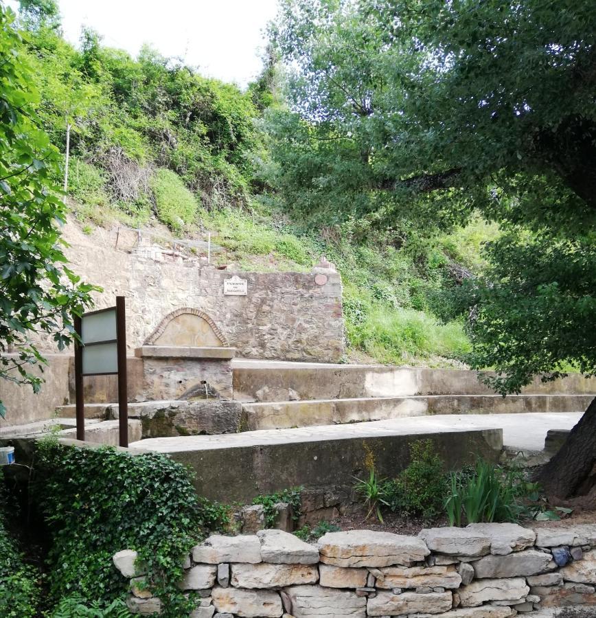 Pineros Holiday home