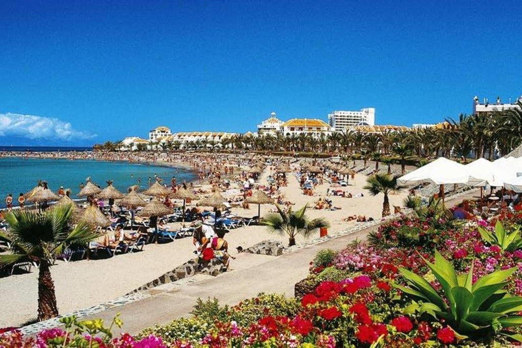 Apartment Bart 50 Meters From Playa Vistas