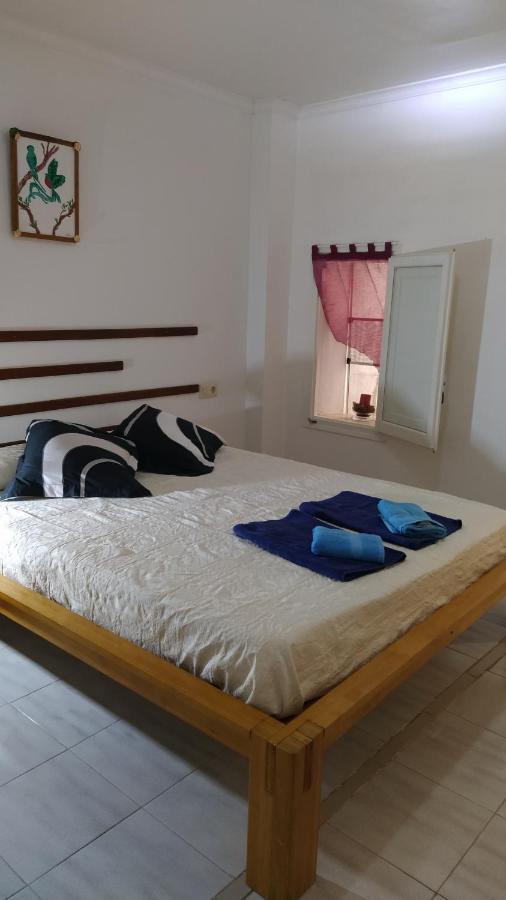 Quetzal Turisme Rural A Tortosa, Terres De L Ebre * Bitem