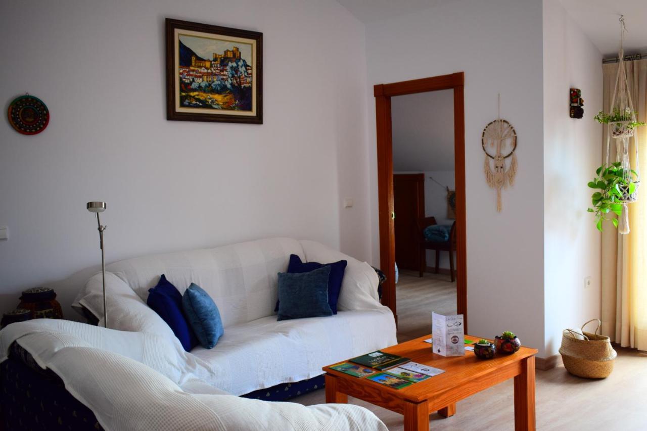 El ático De La Casa Viva
