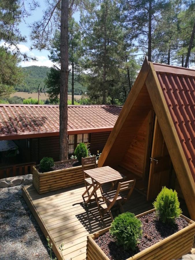 La Ribera Salada Camping Ogern