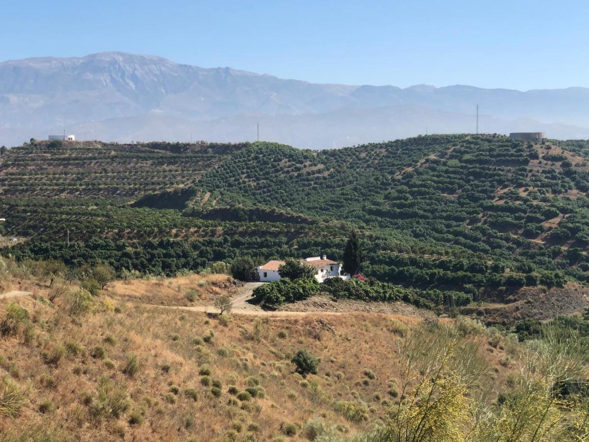 Holiday home Casa La Dehesa