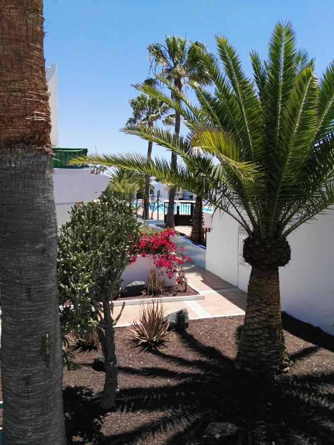 Apartamento Modern Dunasol 319 Corralejo