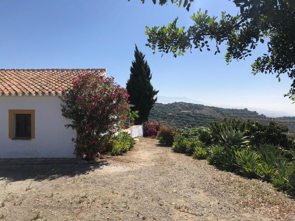 Casa La Dehesa Huertas Bajas