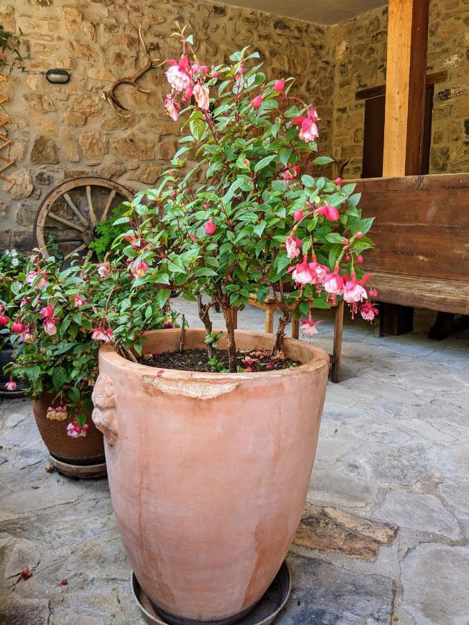 Apartamento Olmares Terrace - Picos De Europa